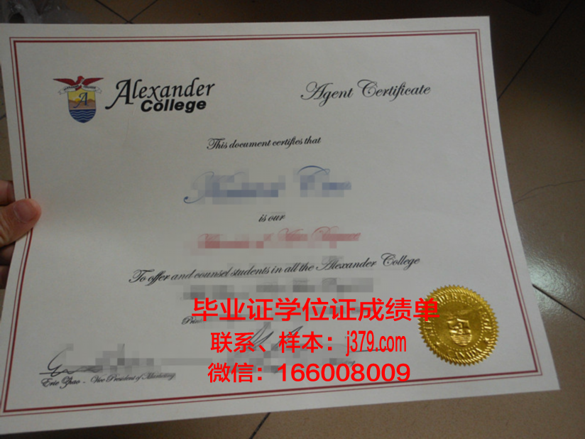 山大本科毕业证什么时候发(山大本科毕业证什么时候发下来)