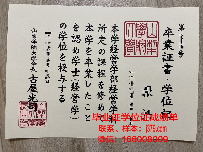 山梨大学毕业证照片(山大毕业证封面)