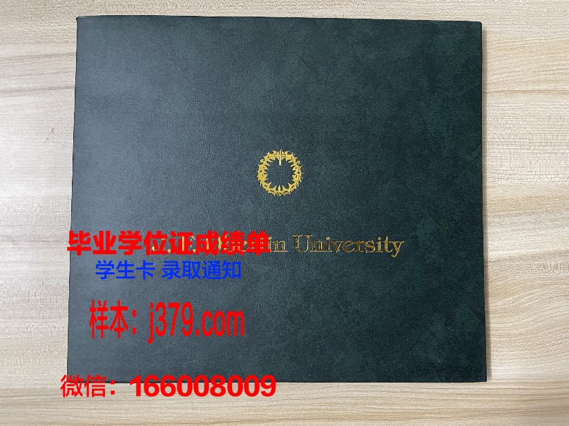 尼斯大学综合理工学院成绩单(尼斯大学研究生)