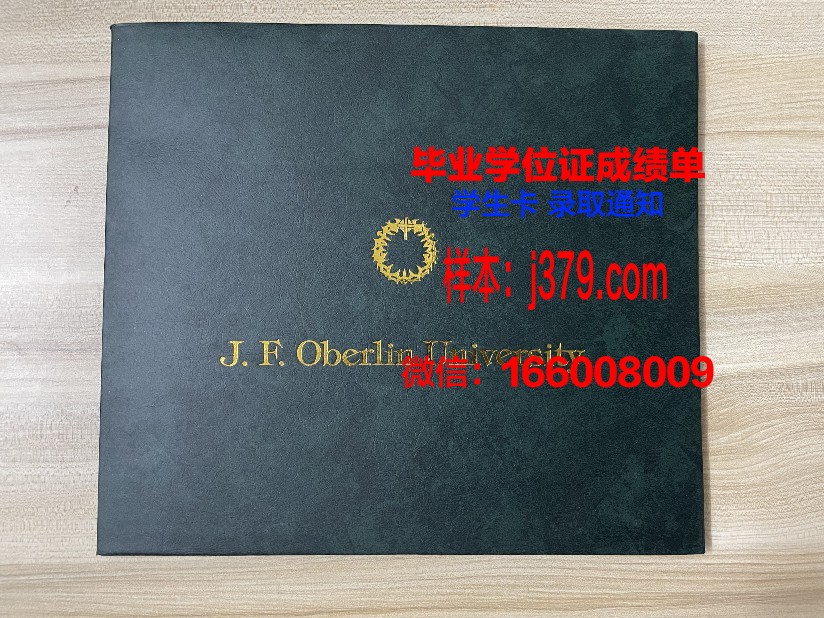 洛林大学梅斯国立工程师学院毕业证书图片模板(洛林大学梅斯校区)