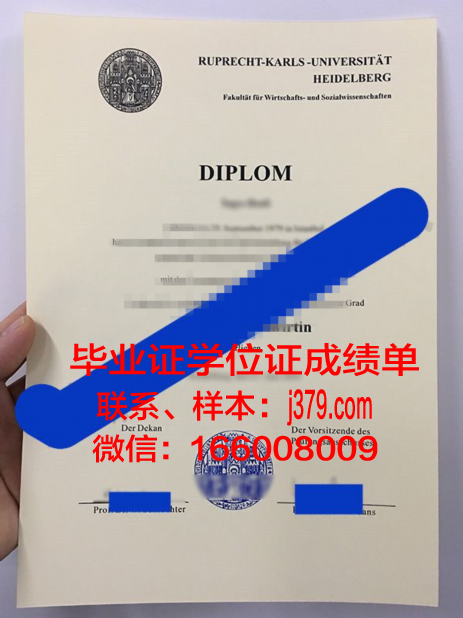 海德堡大学博士毕业证书(海德堡大学博士读几年)