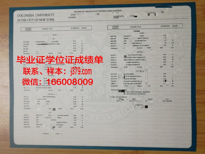 海得拉巴大学成绩单：一份承载荣誉与梦想的纸