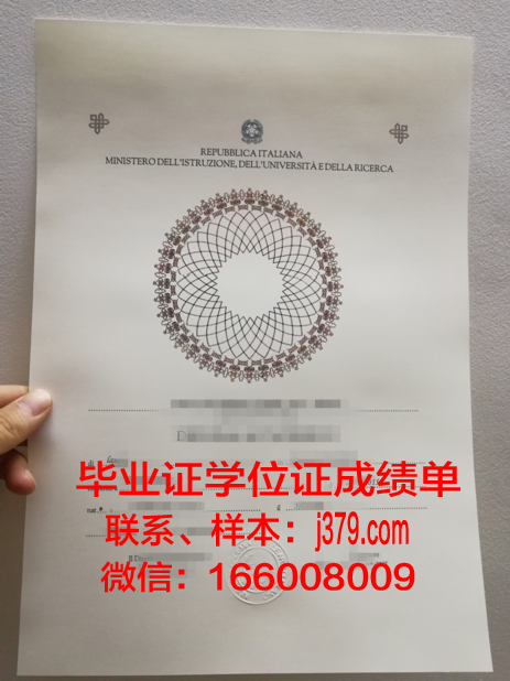 尼姆高等美术学院硕士毕业证书样本