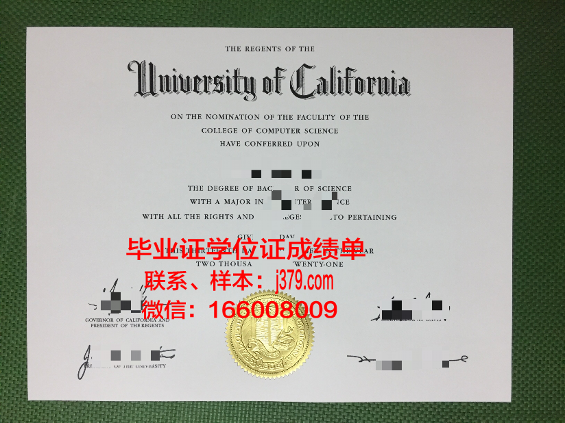 尼尔森航空学院毕业证照片(尼尔森校园招聘)