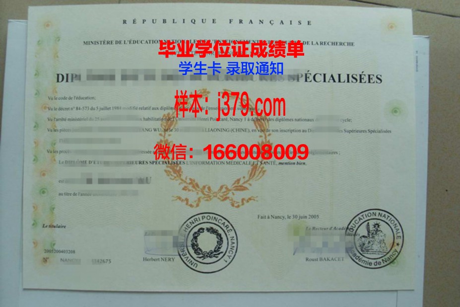 洛林大学南锡国立高等矿业学院毕业证模板