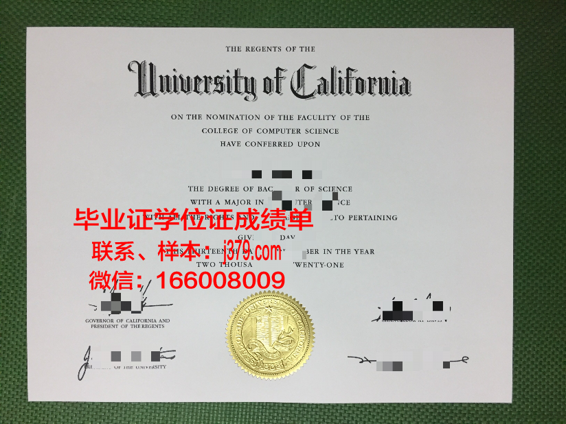 尼赫鲁科技大学毕业证模板