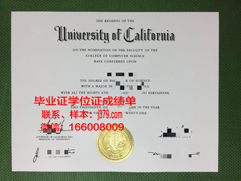 尼赫鲁科技大学硕士毕业证(尼赫鲁大学中文系)
