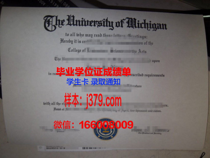 洛美大学博士毕业证(博士毕业证丢了怎么办)