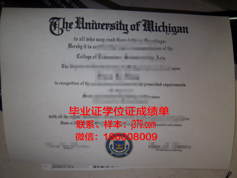 海外留学毕业证(海外留学毕业证延迟如何招聘)