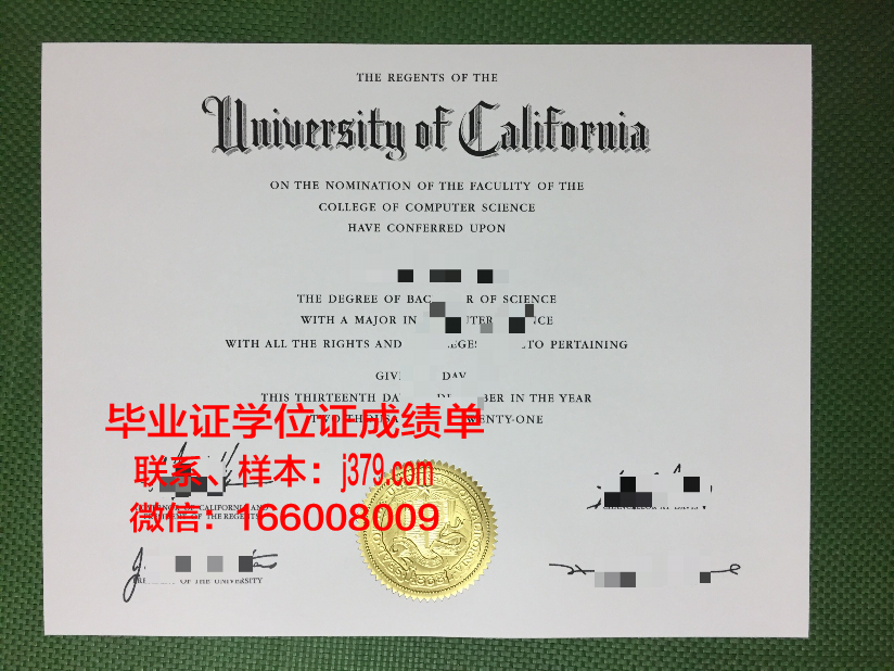 尼斯大学毕业证成绩单：一份承载荣誉与努力的证明