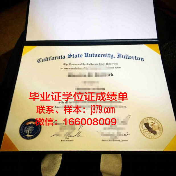 富尔顿蒙哥马利社区学院毕业证是什么样子(纽约富尔顿蒙哥马利学院)