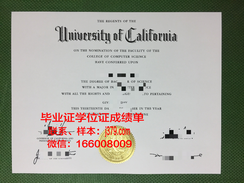 泰普迪尼理工学院毕业证