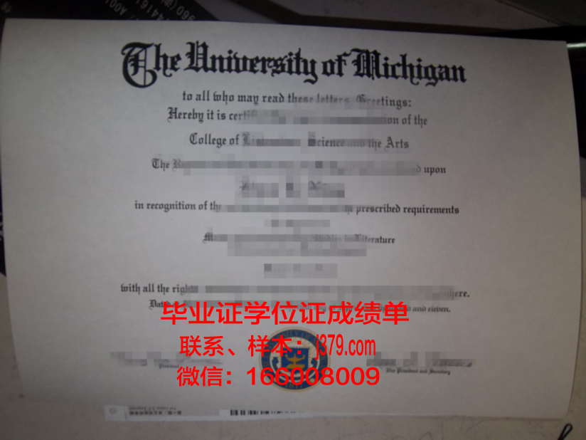 洛尼毕业证成绩单：一份珍贵的青春记忆