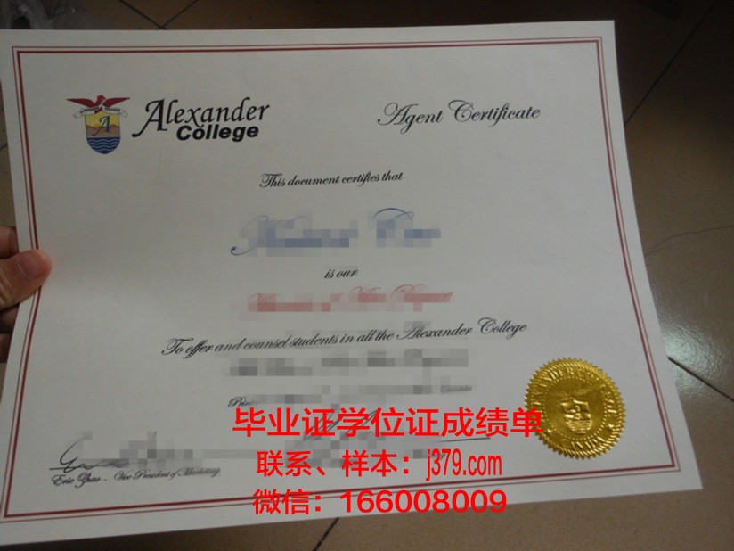 山大毕业证壳(山大毕业证什么样的)