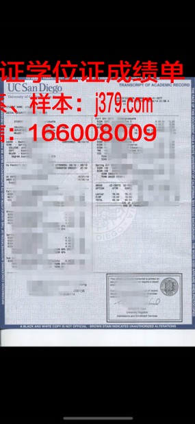 洛林U成绩单：揭示教育真谛的启示录