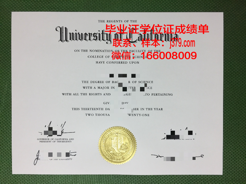 就实大学毕业证补办