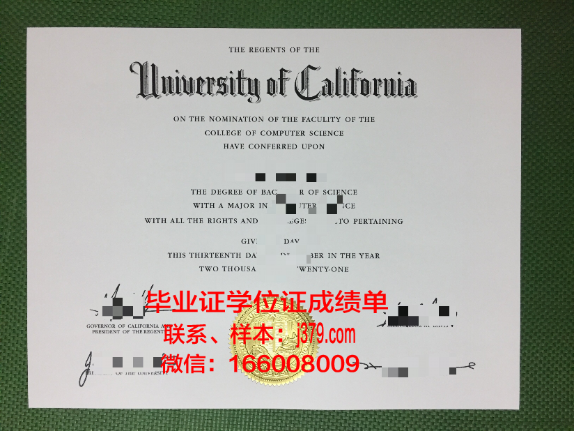 尼赫鲁大学毕业证展示