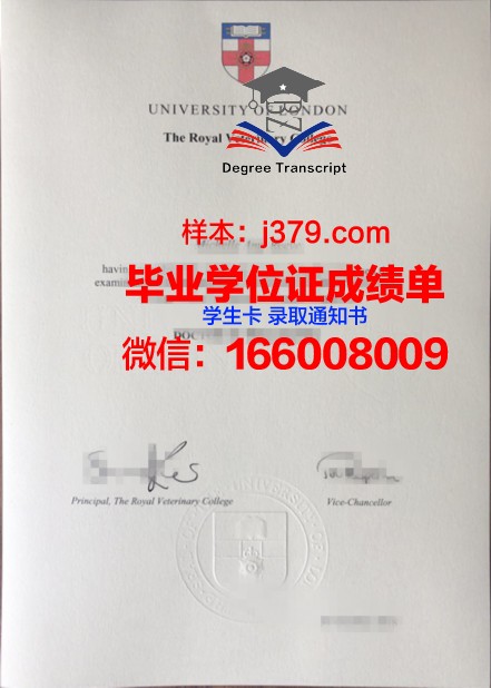 泰山医学院毕业证书图(泰山医学院毕业证书图片样本)