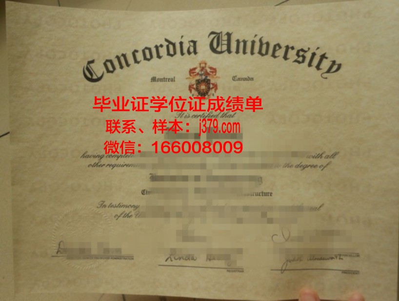 尼亚大成绩单：揭示教育本质的反思之作