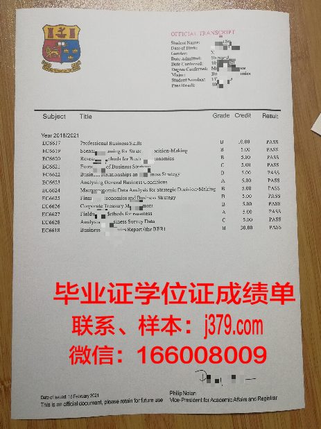 国立纯数学与应用数学研究所毕业证书模板(新国立数学硕士)
