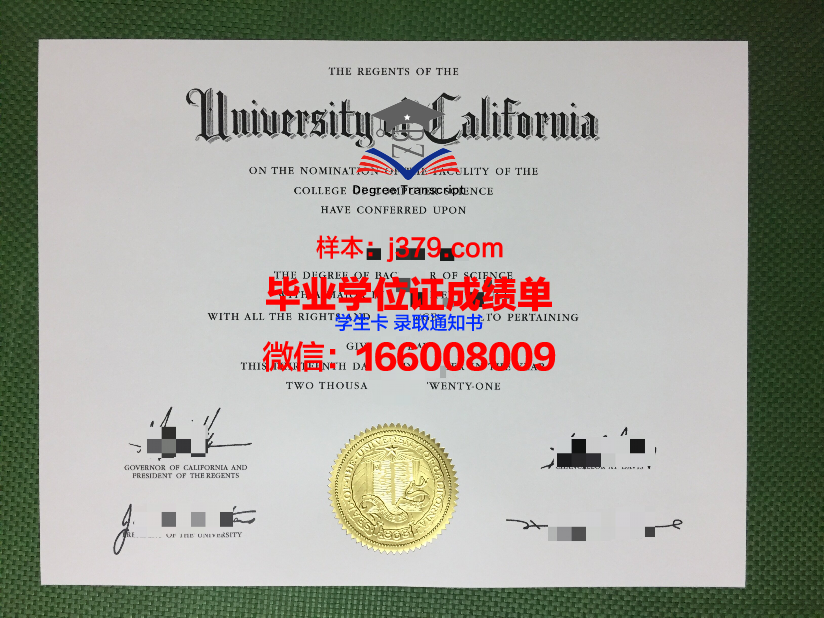 国家计算机与新兴科学大学博士毕业证(国家计算机与新兴科学大学博士毕业证哪个好)