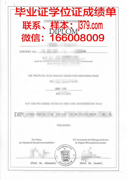 国立曼海姆音乐与表演艺术学院毕业证书：开启音乐与表演艺术之旅的钥匙