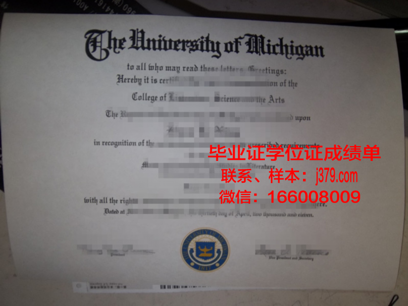 国王大学本科毕业证：一张纸的重量