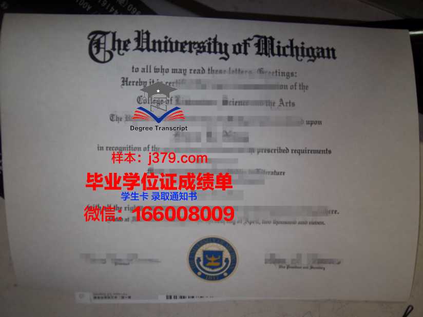 海德马克大学学院 diploma 毕业证