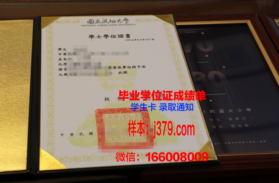 国立成功大学毕业证书定制：承载荣誉与回忆的永恒见证