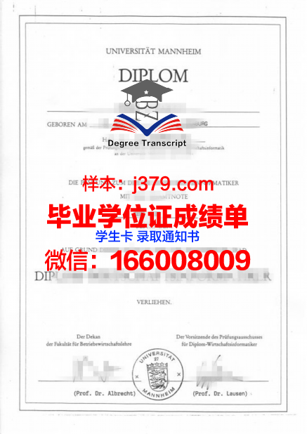 国立曼海姆音乐与表演艺术学院毕业证电子版(曼海姆音乐学院暑期夏令营)