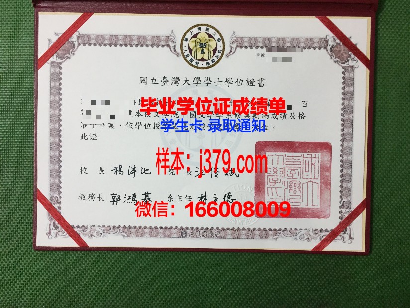 国立文化与艺术政府管理人员学院毕业证成绩单(国立艺术学院院长)