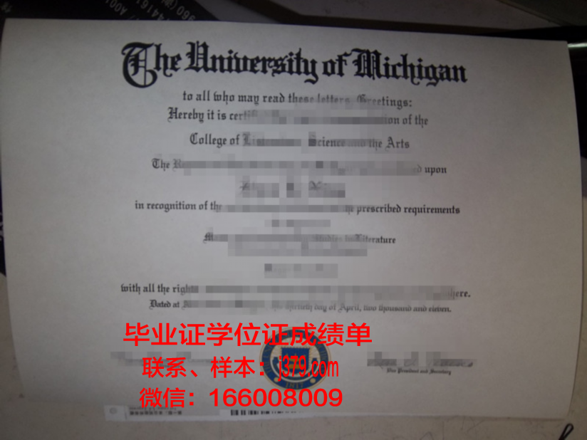国家计算机与新兴科学大学博士毕业证：一张纸的重量