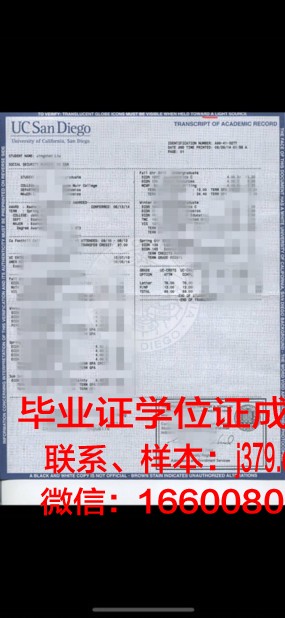 尼尔森航空学院成绩单：展现学员综合素质的精准画卷