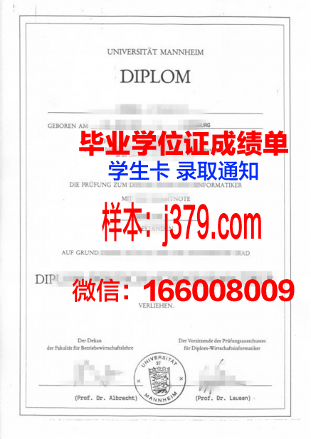 国立曼海姆音乐与表演艺术学院毕业证书图片模板(曼海姆国立音乐和表演艺术学院)