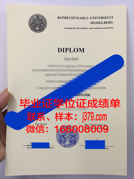 海德堡大学diploma证书(海德堡大学本科)