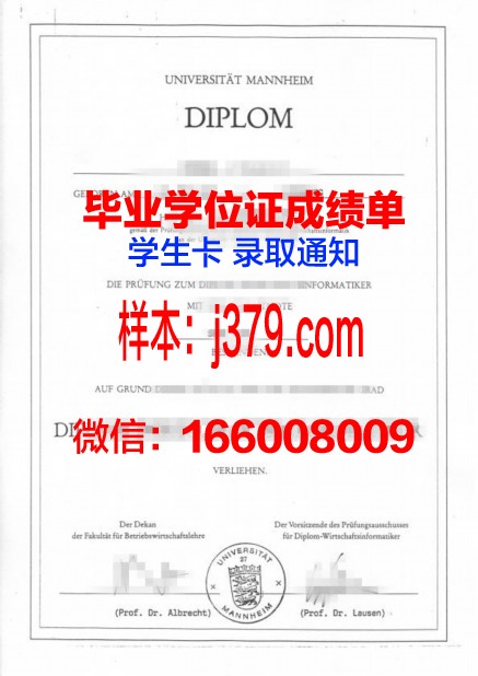 国立曼海姆音乐与表演艺术学院毕业证电子版(曼海姆音乐学院暑期夏令营)