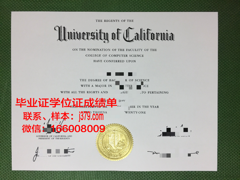 国立造船大学毕业证定制：承载荣誉与记忆的艺术品
