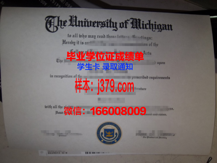 富川大学毕业证成绩单：一张纸的重量与价值