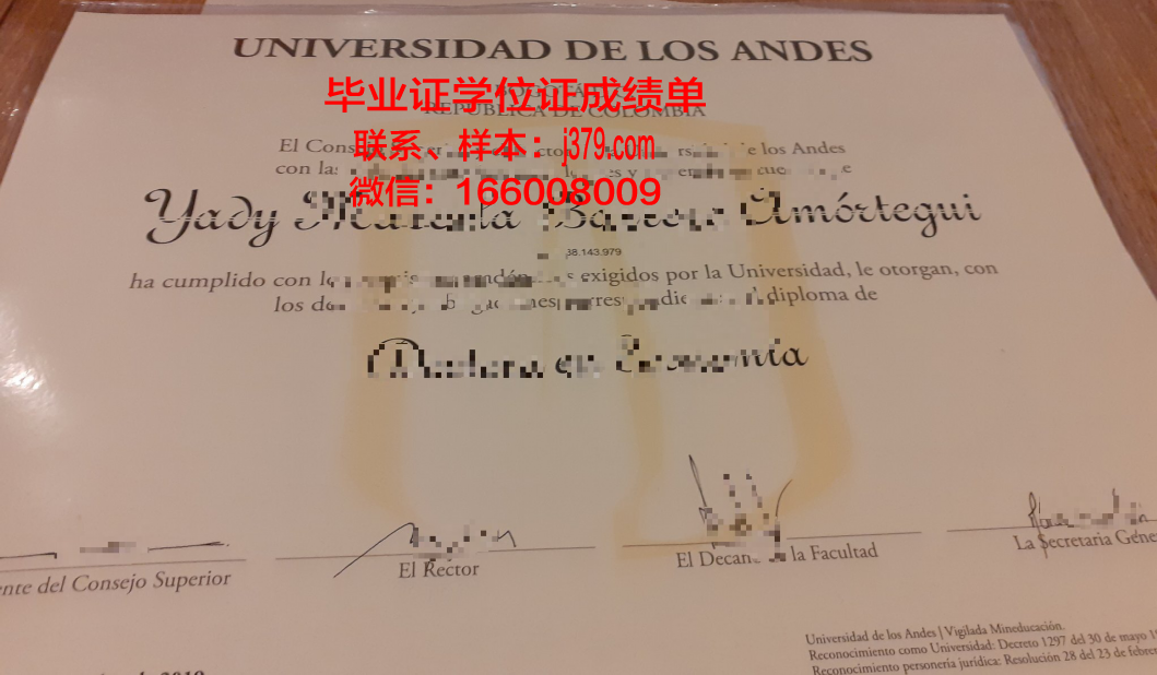 洛斯亚诺斯大学学位证成绩单：展现学术实力与荣誉的证明