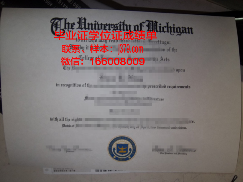 海梅一世大学毕业证定制：探寻历史与传统的融合
