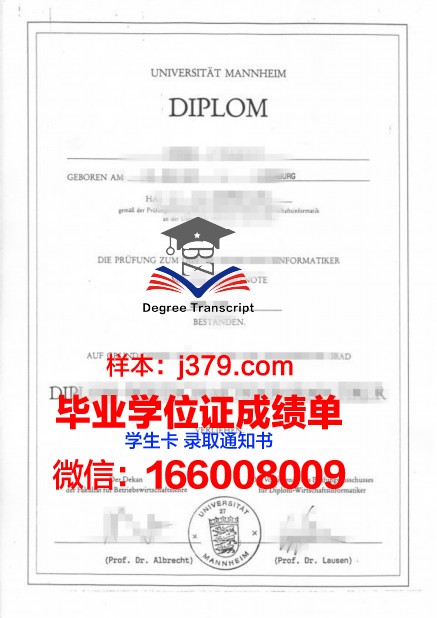 国立曼海姆音乐与表演艺术学院毕业证书(德国国立曼海姆音乐学院)