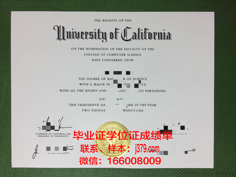 国家计算机与新兴科学大学博士毕业证：一张纸的重量