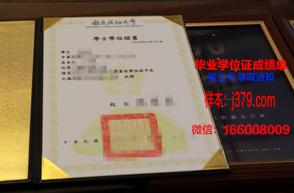 国立成功大学毕业证书与成绩单：承载荣誉与努力的见证