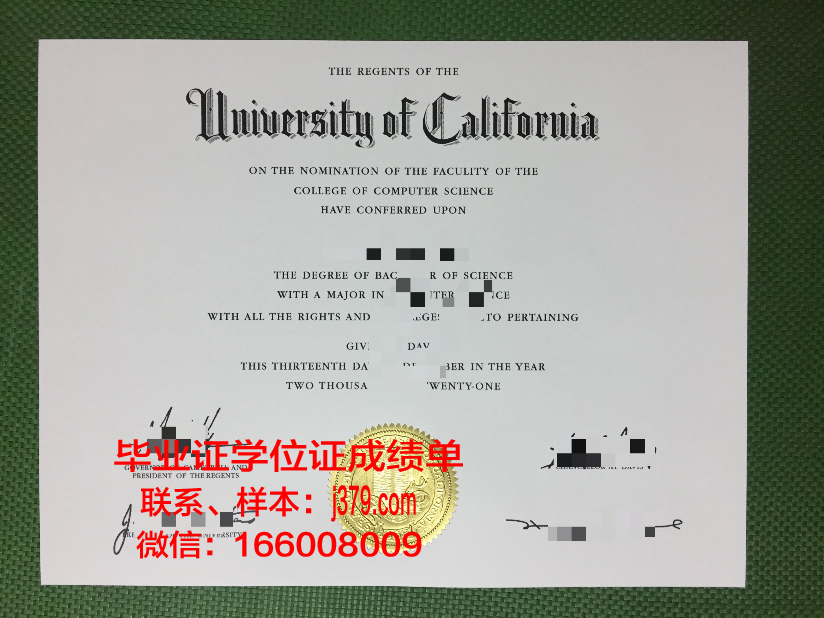 国立造船大学硕士毕业证：承载荣誉与梦想的证书