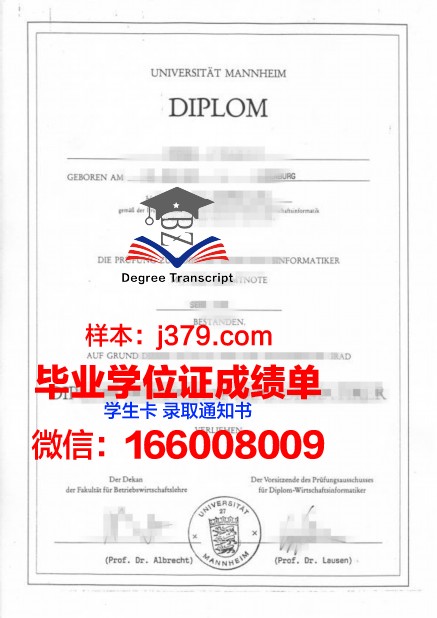 国立曼海姆音乐与表演艺术学院毕业证书图片模板(曼海姆国立音乐和表演艺术学院)