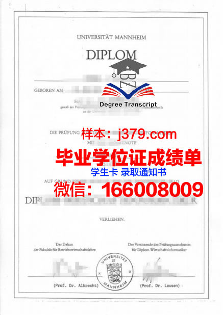 国立曼海姆音乐与表演艺术学院本科学位证：艺术殿堂的敲门砖