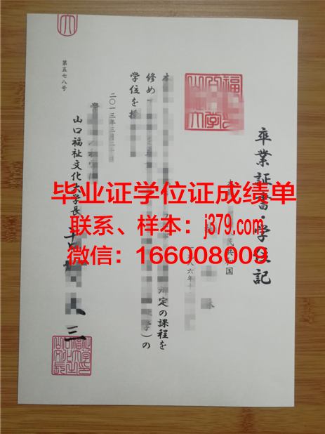 山口大学毕业证书图片大全(山口大学修士)