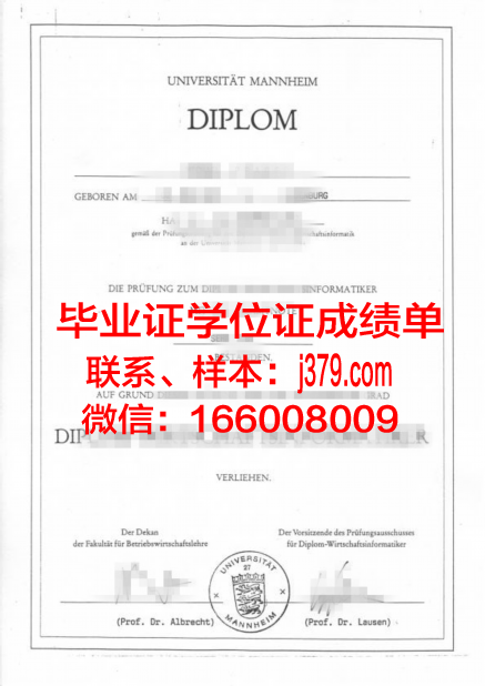 国立曼海姆音乐与表演艺术学院diploma证书(曼海姆大学mmm)