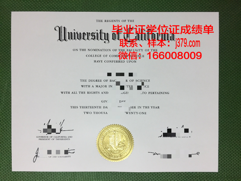 居里夫人大学的毕业证都能做