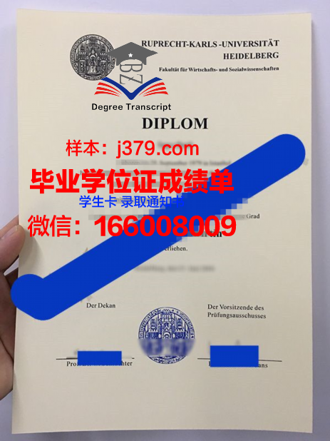 海德堡大学本科毕业证：一份跨越时空的荣耀